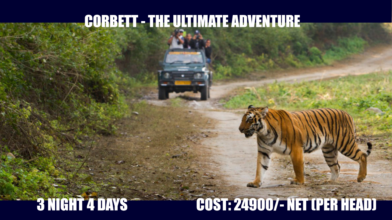 Corbett One tour