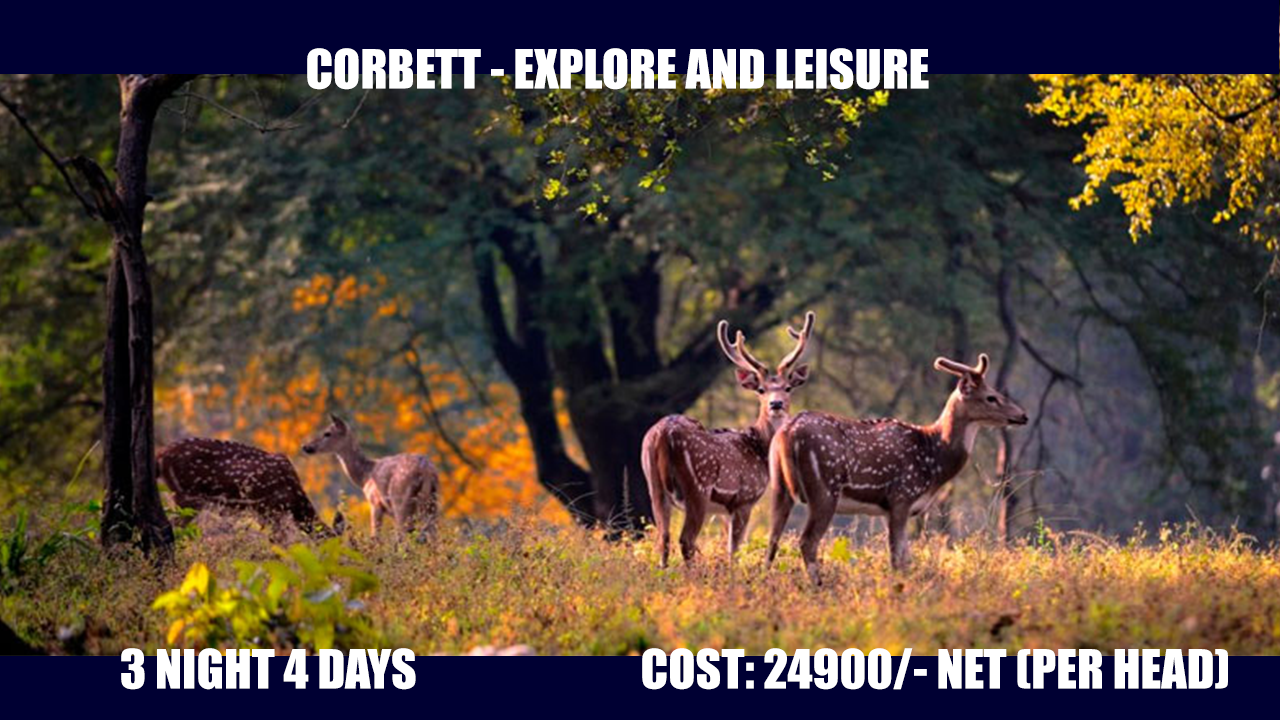 Corbett second tour